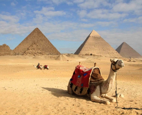 مصر