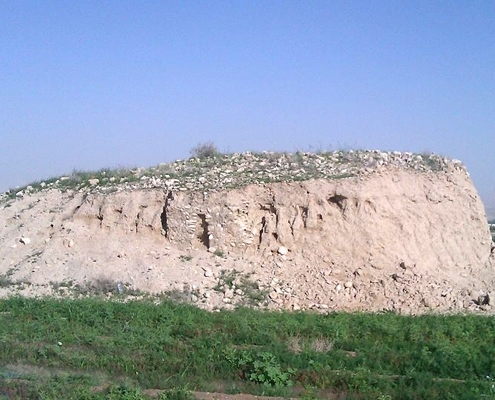توز