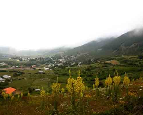 داماش