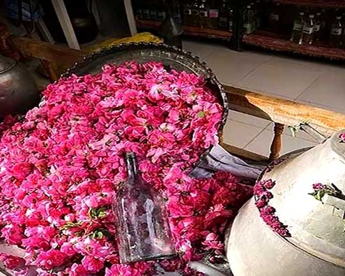 گلابگیری