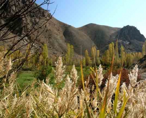 روستای هرانده