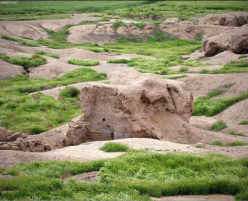 تپه زاغه