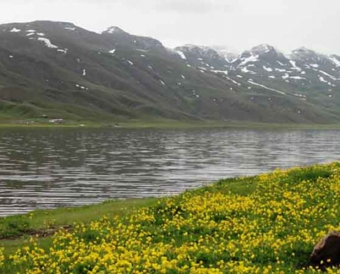 دریاچه نِئور