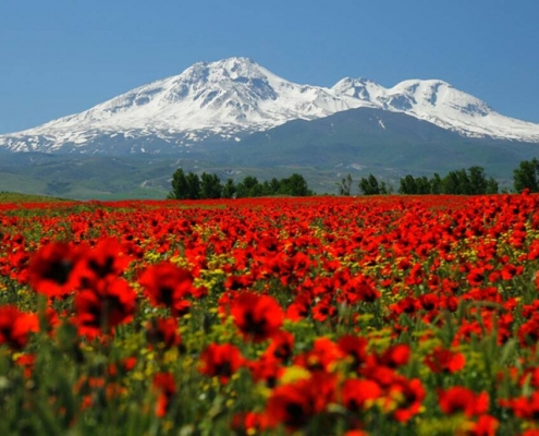 کوه سبلان