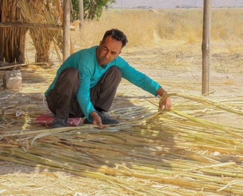 بوریابافی
