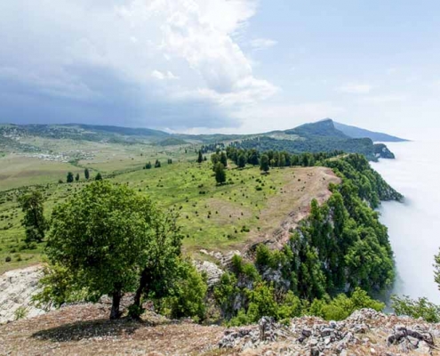 گلستان