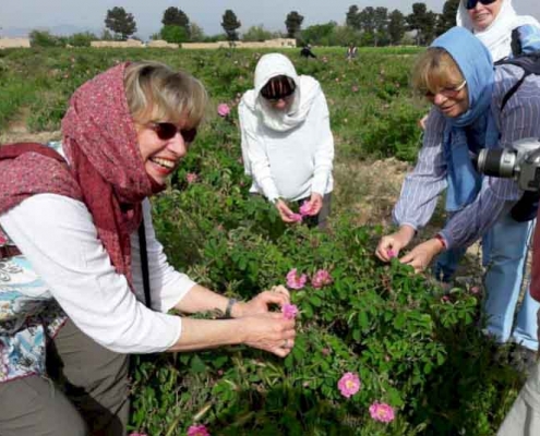 گردشگری روستایی