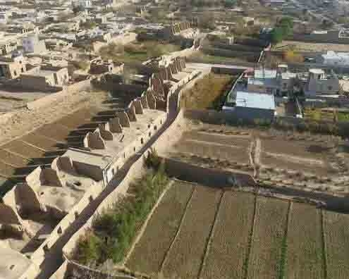 علمی