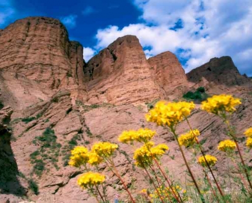 اندج