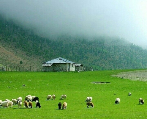 گیلان