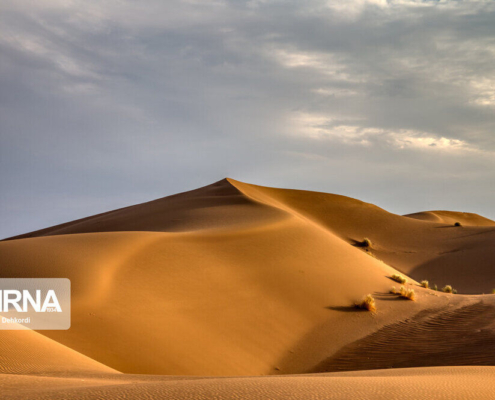 مصر