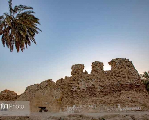 جزیره قشم