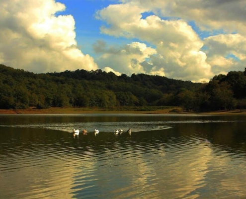 گیلان