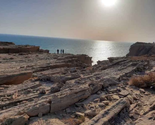 پارسیان
