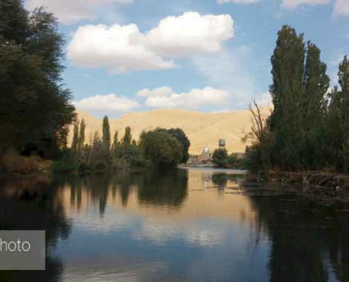 کرسف