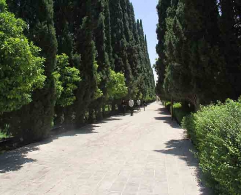 شیراز