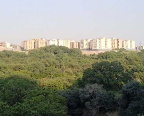 گردشگری