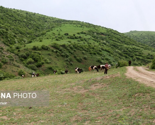 شیروان