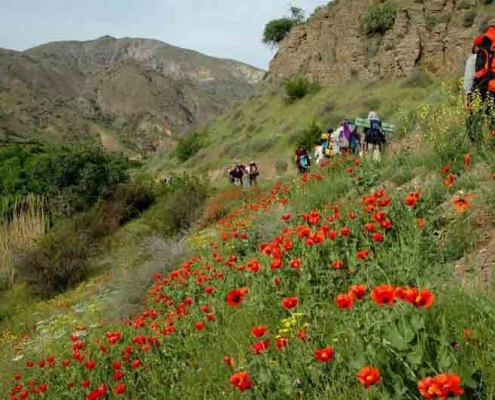 زنجان