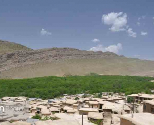 اکوموزه