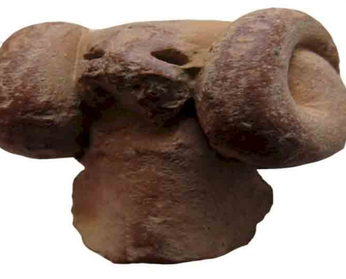 زرندیه