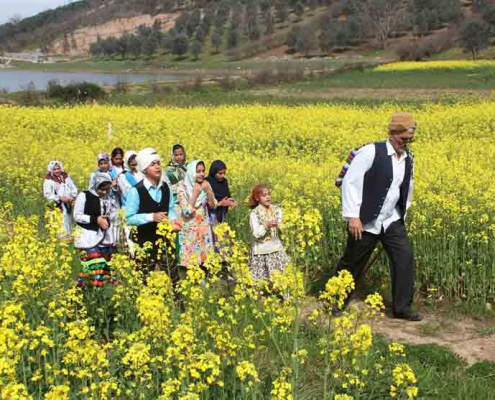گردشگری کشاورزی