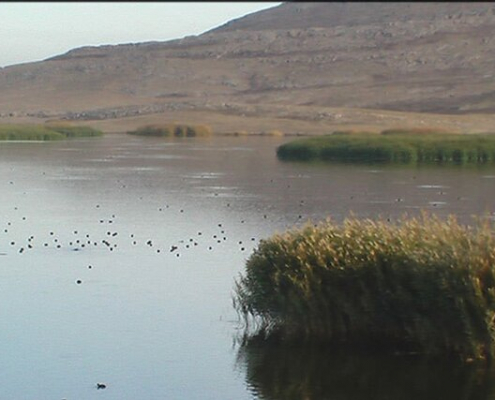 تالاب