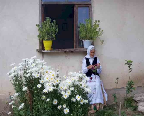 گردشگری